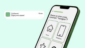 Что дает подписка Duolingo в Империя сумок