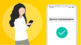 Что можно оплатить через Билайн: возможности счета телефона в Империя сумок