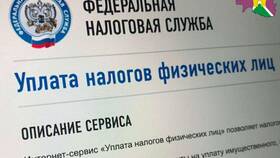 Что такое налог 5%: объяснение и особенности в Империя сумок