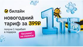 Что такое тариф на Билайне в Империя сумок