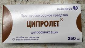 Ципролет: от чего помогает и инструкция по применению в Империя сумок