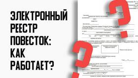 Электронная выписка ЕГИССО: что это и как получить в Империя сумок