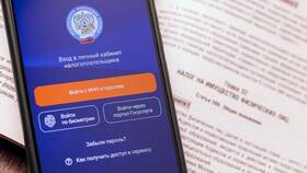 Использование портала Госуслуги для физических лиц в Империя сумок