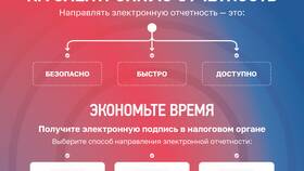 Как налоговая инспекция начисляет НДФЛ в Империя сумок