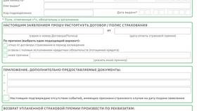 Как отключить автоплатеж страховки в Сбербанке в Империя сумок
