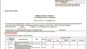 Как уплатить штрафы и пени в Империя сумок
