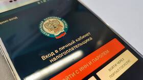 Как выглядит электронный ИНН: форматы и особенности в Империя сумок