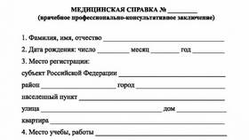 Как заполнить справку для ребенка в Империя сумок