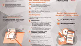 Как заполнить заявление о банкротстве через МФЦ в Империя сумок