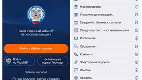 Личный кабинет налогоплательщика для ИП: инструкция по работе в Империя сумок
