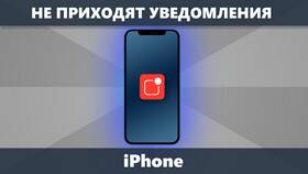 Почему не показываются уведомления на iPhone в Империя сумок
