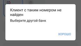Почему не получается перевести деньги на Wildberries банк в Империя сумок