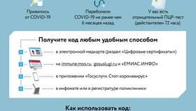 Почему не получается зайти на сайт Госуслуги в Империя сумок