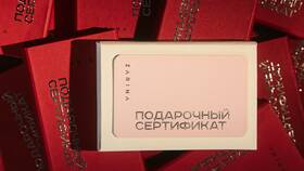 Сведения о доходах: определение и назначение в Империя сумок