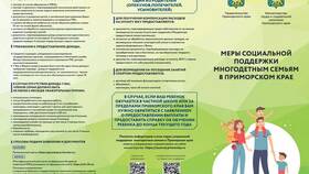 Заявление об отсутствии доходов в Империя сумок
